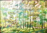  "����". 1996. ����������.